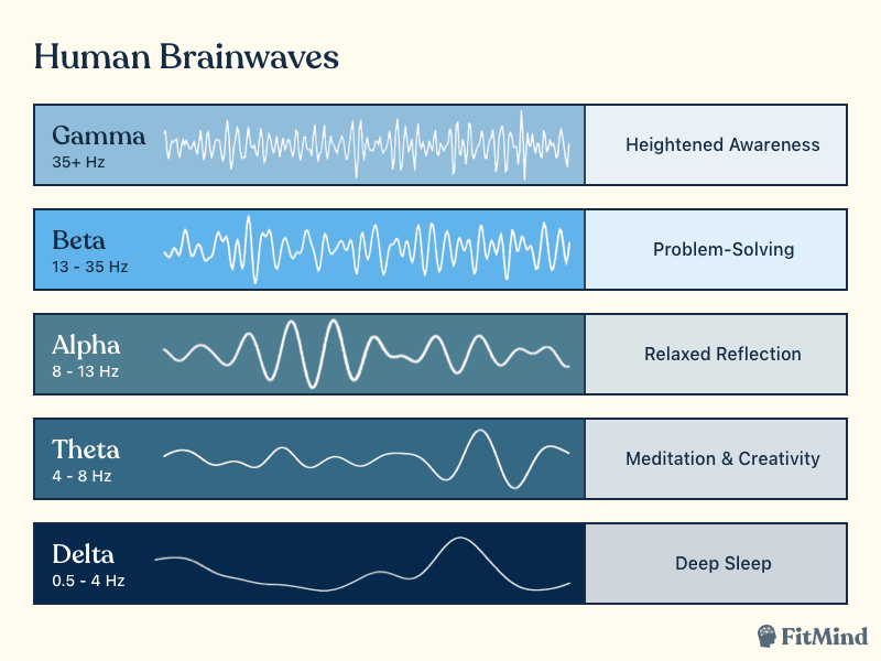 How to Overclock your Brain - Spartan Health™