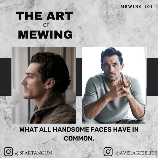 Mewing before and after